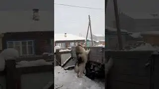 Вадим давай попиз..м 