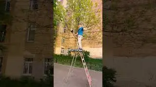Бэкстейдж ракурсы стремянка #shorts