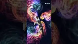 how cats feel around ribbons