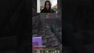 xd