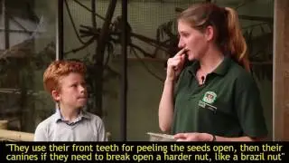 Wild About Banham Zoo Ep 8 | Eureka Safari