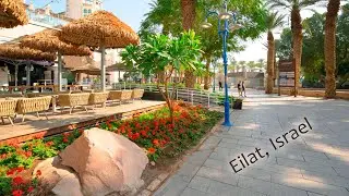 Israel: The City of Eilat and the Healing Sounds of the Red Sea.