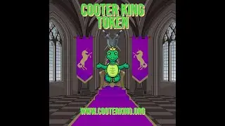 Introducing The Cooter King Token Project