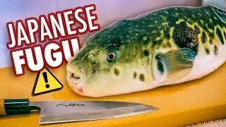 I Tried Japan's Most Dangerous Food | Poisonous Blowfish (Fugu)