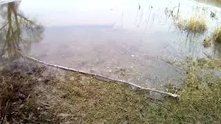 В этой стороне я еще не снимал.