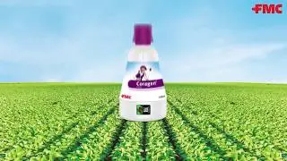 Coragen® in Soybean | A Walkthrough in Kannada