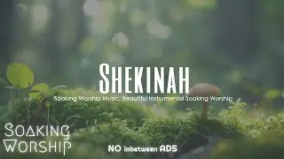 Worship Music for Spiritual Warfare: Shekinah, Soaking, Intense Worship (2024)