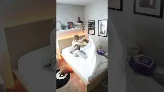 Day In The Life Of A Small Streamer