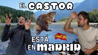 TRACKING BEAVER, OTTER, RACOON, AND GENET... IN MADRID | WITH EPISTEMIKE