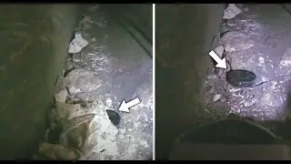 Опубликованы закрытые фото с неизвестными артефактами в Северной шахте пирамиды Хеопса