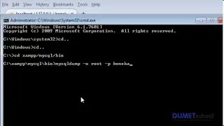 Cara Backup Database MySQL Melalui Command Prompt - (CMD)