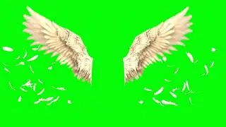 Angel Wings | Greenscreen Effect | + Download Link