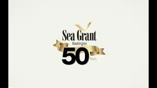 Celebration of Our 50th Anniversary