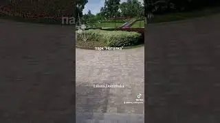 8 червня 2024 р.