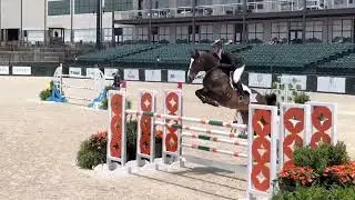 Emeraldo - $39k 1.45m CSI** Welcome
