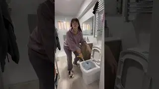 ¿Gluten en el WC? 💩
