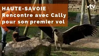 Haute-Savoie : Cally prend son envol !