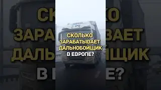 СКОЛЬКО ЗАРАБАТЫВАЕТ ДАЛЬНОБОЙЩИК В ЕВРОПЕ?