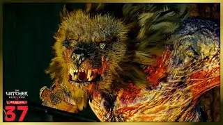 BEATING MORKVARG Pt.2 - In Wolf's Clothing! - The Witcher 3 Next Gen - Part 37