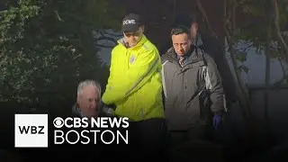 No charges will be filed after 4 babies found in South Boston freezer