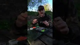 I'm Giving Away My Tackle Box! 🤩🎣📦