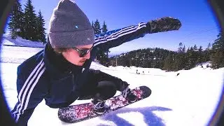 Sunny Sunday Seymour Spring Shred