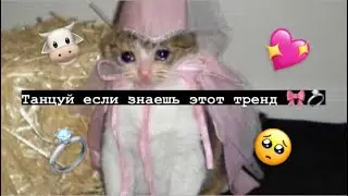 🛐 Танцуй если знаешь этот тренд 💖 Тик ток 2021 // Tik Tok trend 2021 🧸