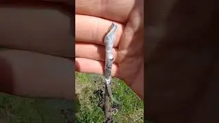Яр, холодно.