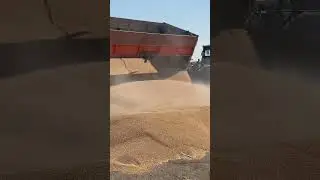 #рек
