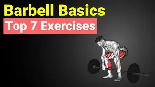 Barbell Basics: The Top 7 Essential Exercises!
