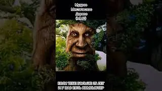 Мудрое Мистическое Дерево мем (shorts)