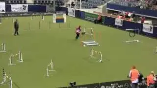 Silvina & TCam Individual Jumpers WC 2012