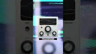 ЭТОТ ПЛАГИН ПОМОЖЕТ УТОПИТЬ ВОКАЛ В МИКС | ОБЗОР TRACKSPACER #shorts #биты #flstudio