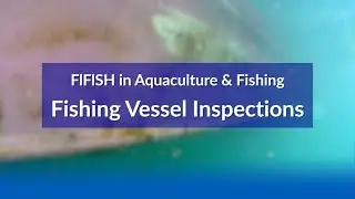 Fishing Vessel Inspections | FIFISH AI Underwater Robots