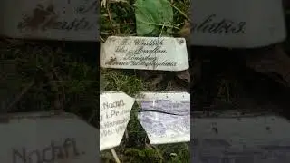 Осколки Восточной Пруссии