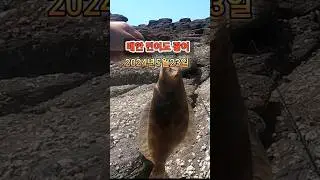 태안 민어도 광어낚시~#광어낚시#태안갯바위#민어도광어