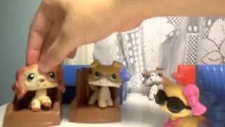 Lps The Worse plane ride ever ep. 1