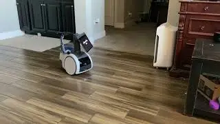Amazon Astro Robot as a floor pet for grandpa