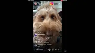 Darren Hayes live stream 4