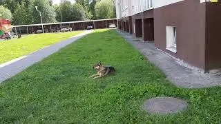 КАЛИНИНГРАД! ул.Брусничная!!  ПОНРАВИЛОСЬ!!
