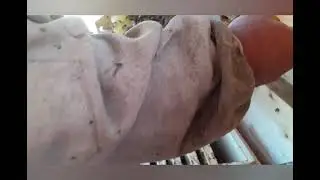 Конец сезона.Подготовка к зиме.