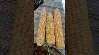 САМАЯ ВКУСНАЯ КУКУРУЗА!