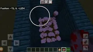 This video you need to watch. #Minecraft #minecraftpe #meme #memes