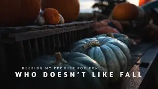Who Doesn't Like Fall?