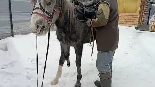 Һыбай атта уҡ атыу/ Конная стрельба из лука