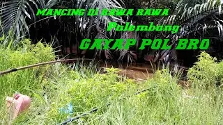 mancing di rawa tempat nya babonan betok jumbo
