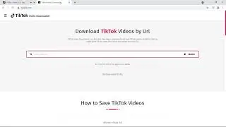 How To Download TikTok Videos On PC