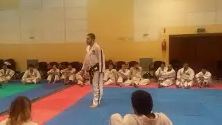 TAEKWONDO ITF DISPLACEMENTS