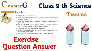 Tissue Class 9 th Science Chapter 6 Exercise Question Answer full Explanation
