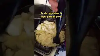 #medapaja